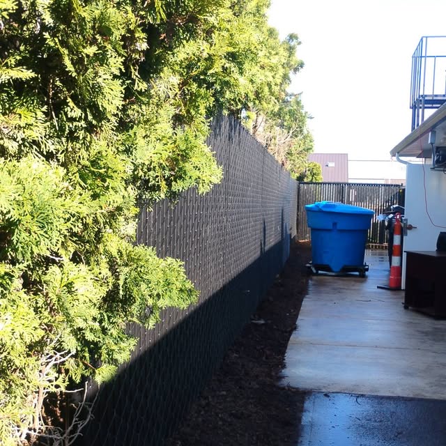 Black chain link fence along a residential property